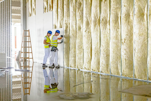 Best Insulation for Metal Buildings  in USA